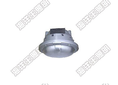 海洋王NFC9176长寿顶灯_海洋王照明科技股份有限公司